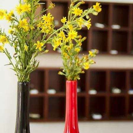 شقة فندقية Lycasti Maisonettes Tavronitis