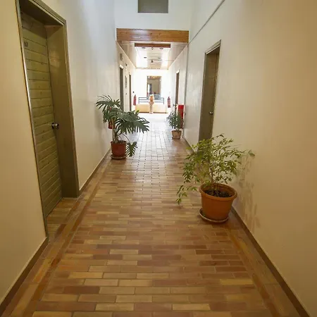 Lycasti Maisonettes